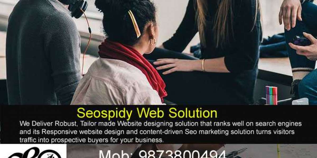 Seospidy introduce low cost website design package for local business