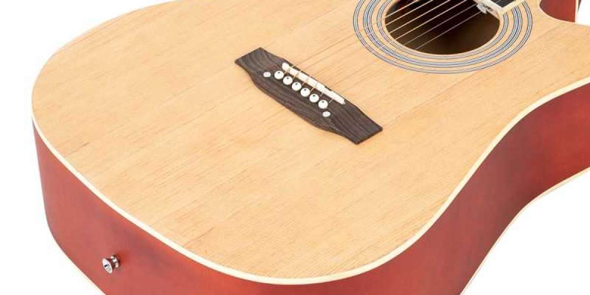 Makes acoustic instruments suitable for amateurs