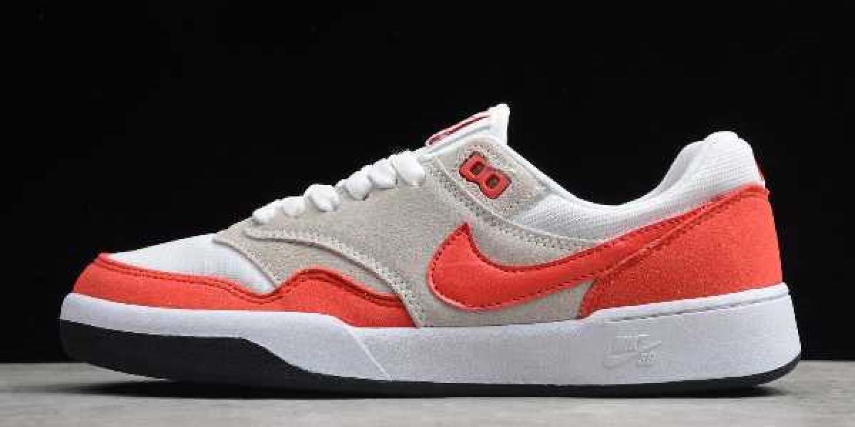 Nike SB GTS Return “Air Max 1” Sport Red/Pure Platinum-Black 2020 CK3464-600 For Sale Online