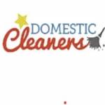 Domestic Cleaners London
