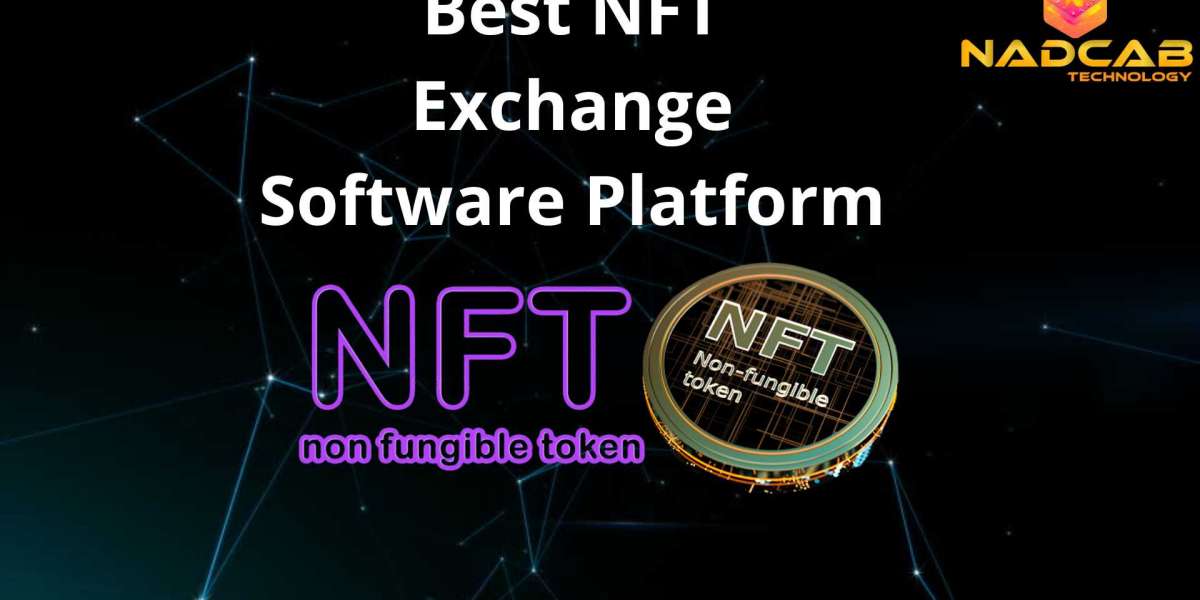 Best NFT Exchange Software Platform