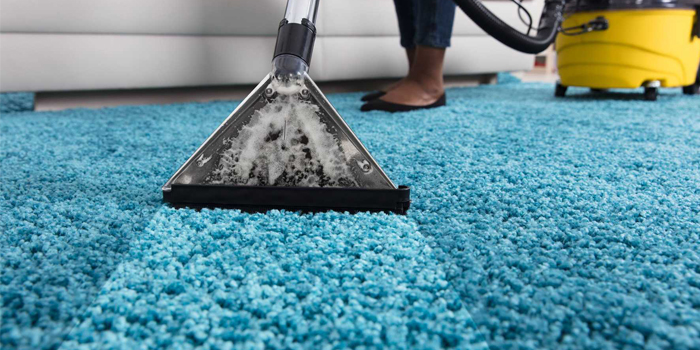 Carpet Cleaning in Oakville