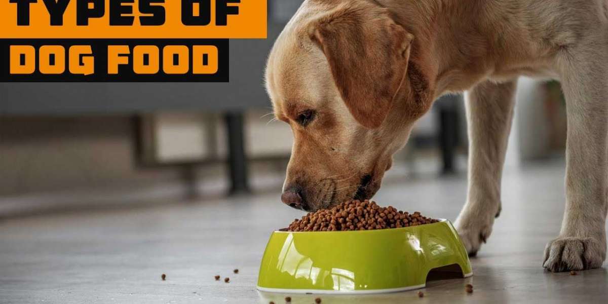 Dog Food Online | What Are The Different Types Of Canine Food