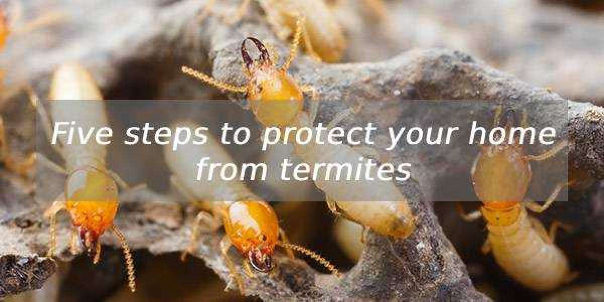 Five steps to protect your home from termites