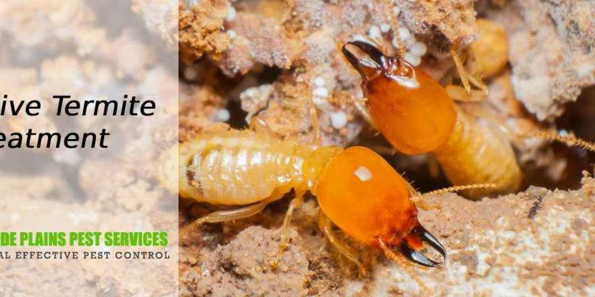 Kinds of Effective Termite Treatment Adelaide