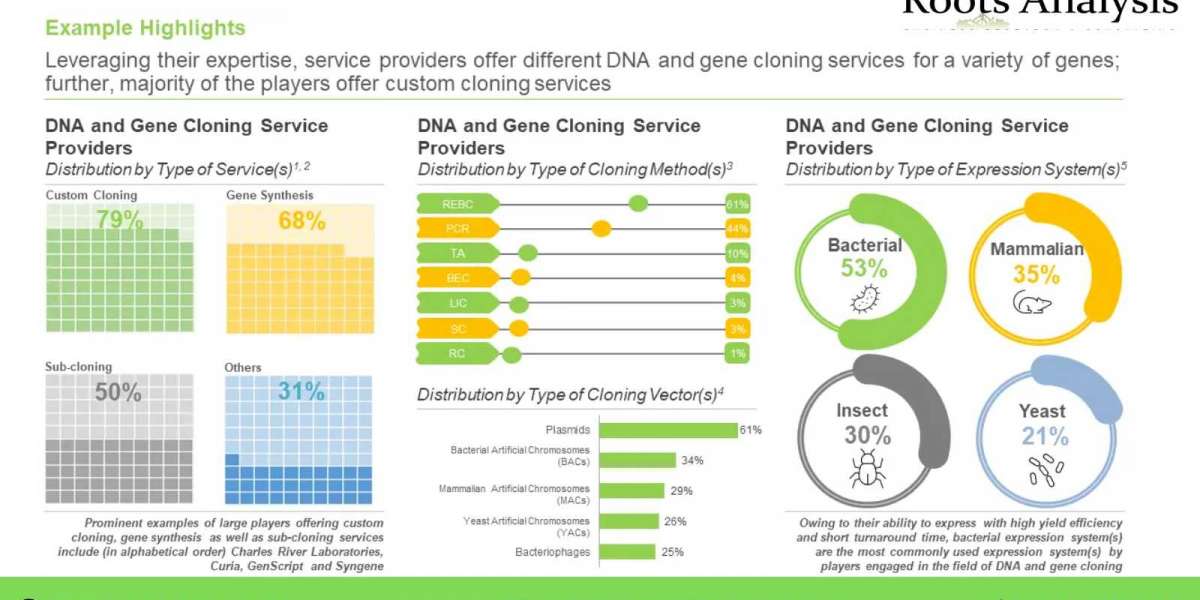 The DNA and gene cloning services market is anticipated to grow at a CAGR of over 15% by 2035