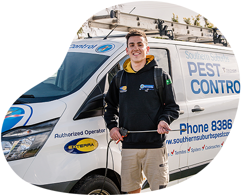 Termite Control Adelaide | Southern Suburbs Pest Control