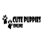 cs puppies LLC