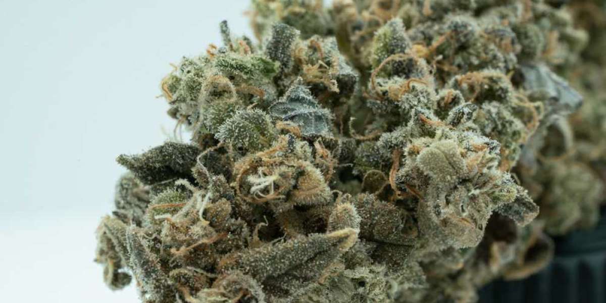 Tasting the Rainbow: The Best Zkittlez Strain Review