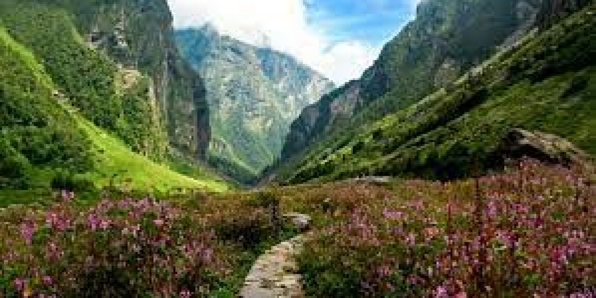 The Enchanting Beauty of Valley of Flowers Trek