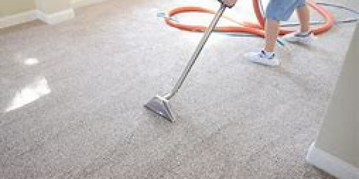 How Professional Carpet Cleaning Preserves Your Carpets
