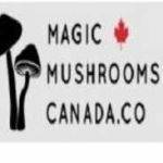 Magic Mushroom Canada