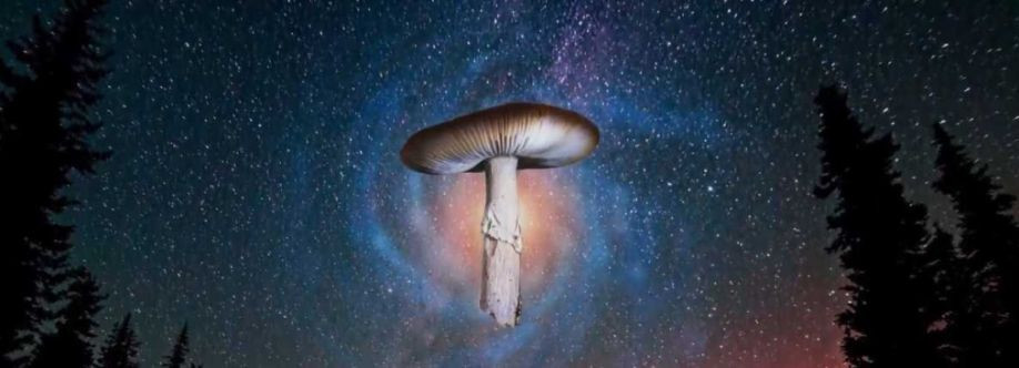 Magic Mushroom Canada Cover Image