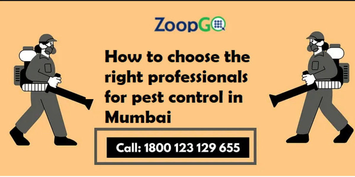 How to choose the right professionals for pest control in Mumbai