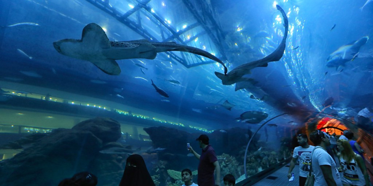 Things You Need To Know About Dubai Aquarium And Underwater Zoo