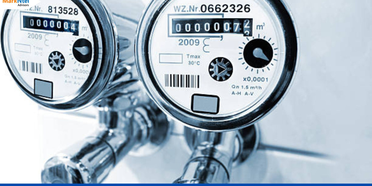 Europe Smart Water Meter Market Analysis: Current Landscape, Growth Trends, and Prospects for a Sustainable Future 2022-