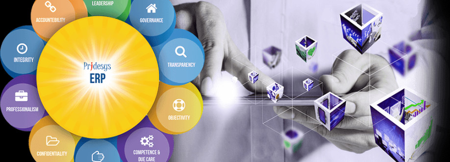 Pridesys IT Ltd Cover Image