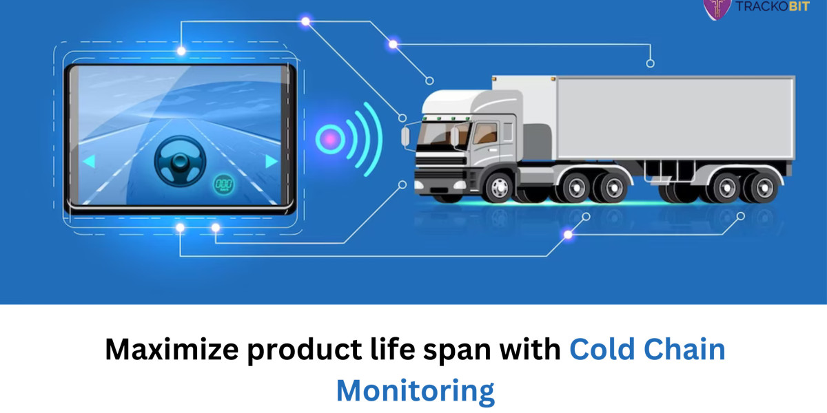 Enhance the Life of temperature-sensitive Products with Cold Chain Monitoring