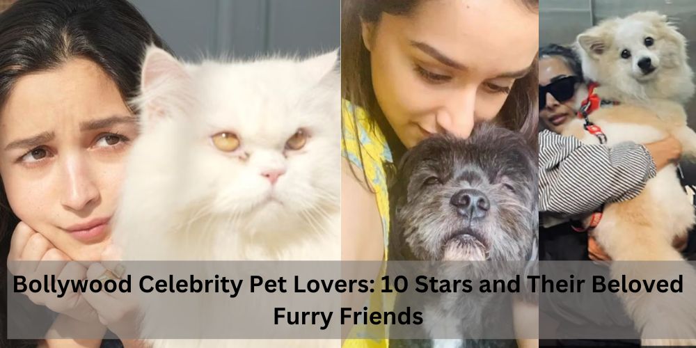 10 Bollywood Celebrity Pet Lovers - Media Circal