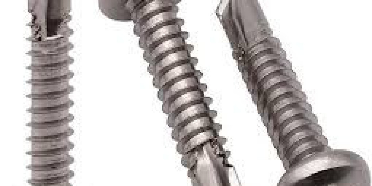 Unveiling the Versatile Pan Head Tapping Screw