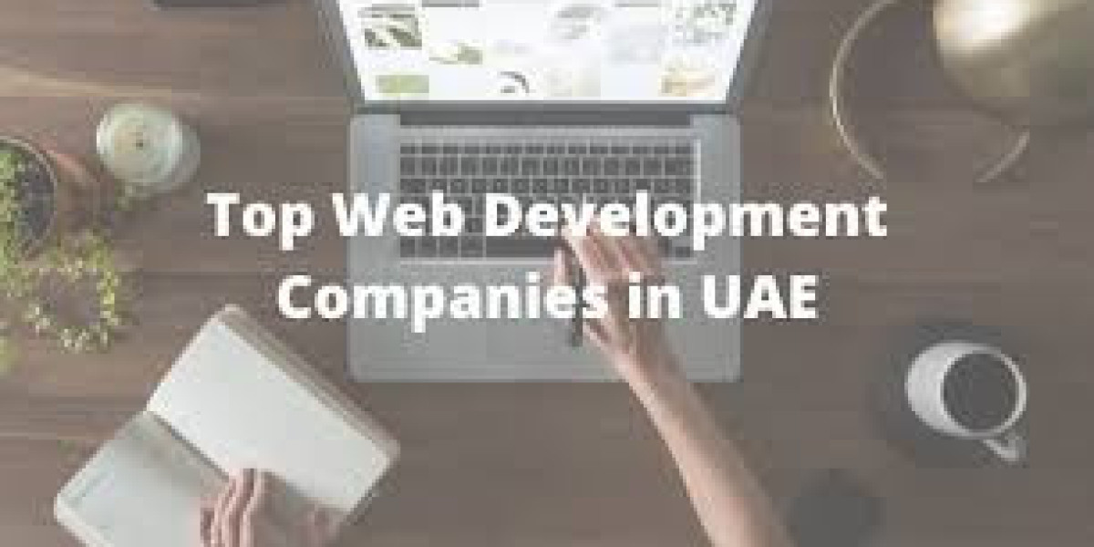 How to Choose the Right Website Designerin  UAE