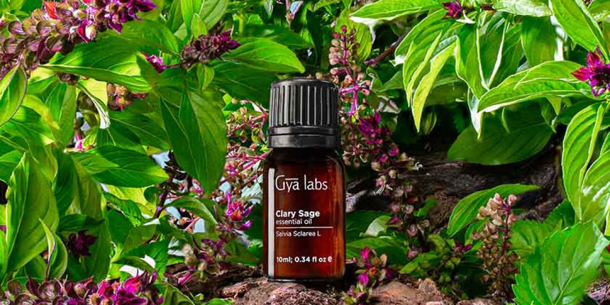 Clary Sage Essential Oil - Where to Buy Superior Quality?