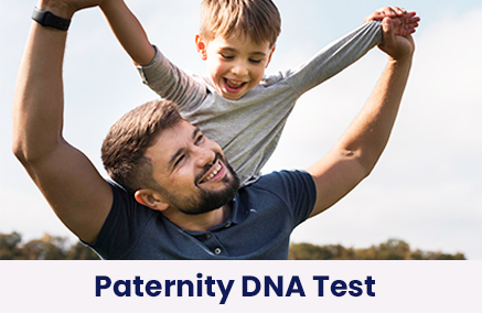 Paternity Testing – How does it work, and How Accurate is it?