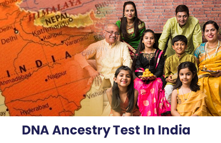 Ancestry DNA Test: The Key to Understanding Your Ancestors' History