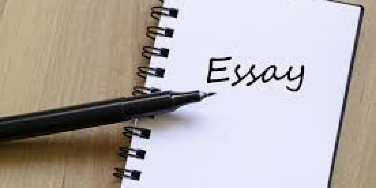 Landscape of Essay Writing Services