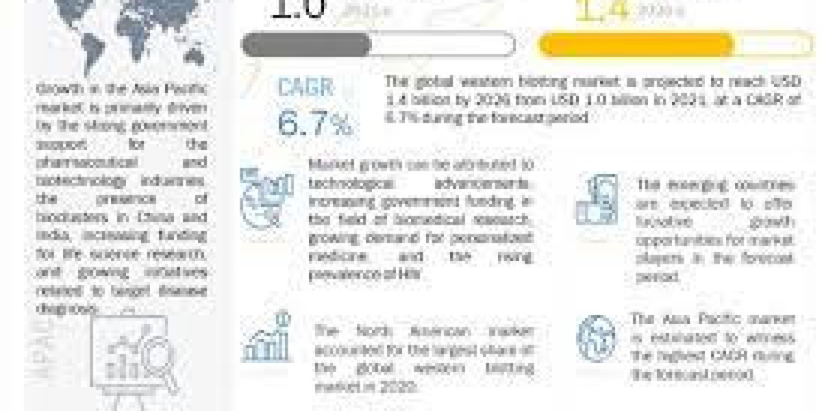 Western Blotting Market Projected to Hit $1.4 Billion Mark by 2026