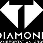 Black Diamond TG