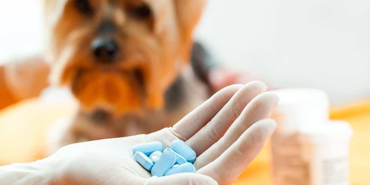Veterinary Antibiotocs Market Demand and SWOT Analysis Forecast to 2030