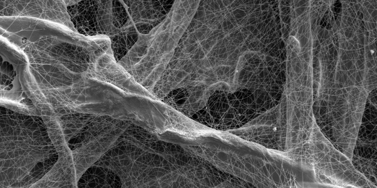 Nanofiber Market SWOT Analysis Growth by Forecast to 2028