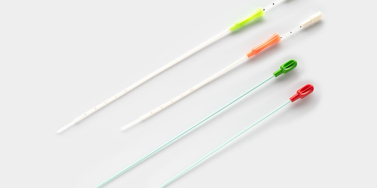 Embryo Transfer Catheters Market Analysis Growth Forecast by 2031