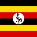 Evisa uganda