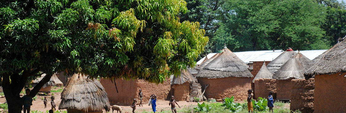 Benin E Visa Cover Image