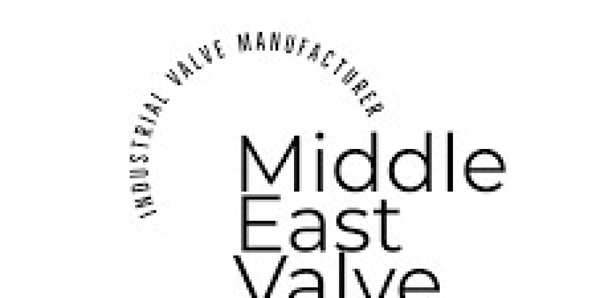 Dual Plate lug check valve supplier in UAE