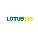 Lotus365 App