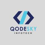 Qodesky Infotech