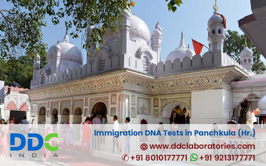 Immigration DNA Tests in Panchkula - Affordable DNA Tests