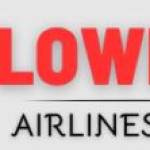 Lowestairlines deal