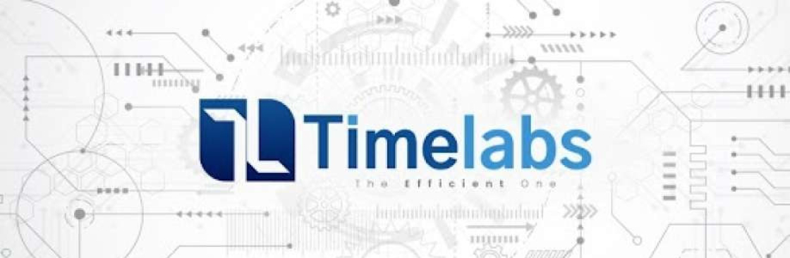 Timelabs Cover Image