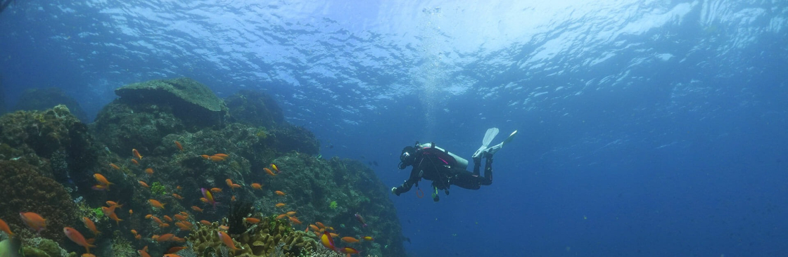 BALI FUN DIVING Cover Image