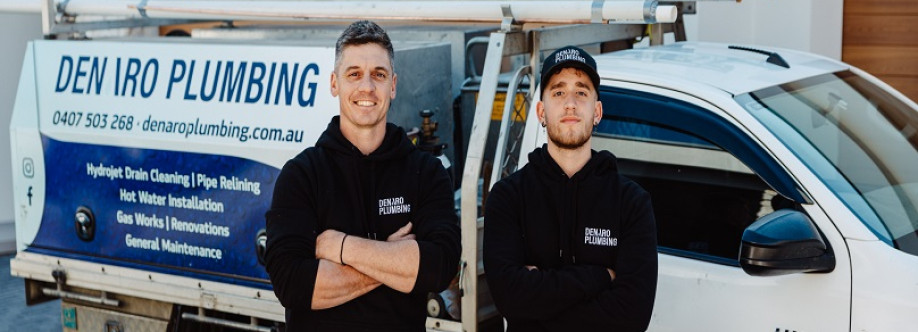 Denaro Plumbing Cover Image