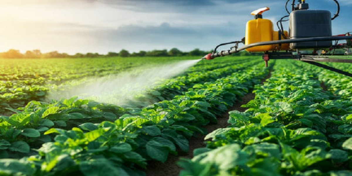 Egypt Liquid Fertilizer Market Boosted by Sustainable Farming Needs