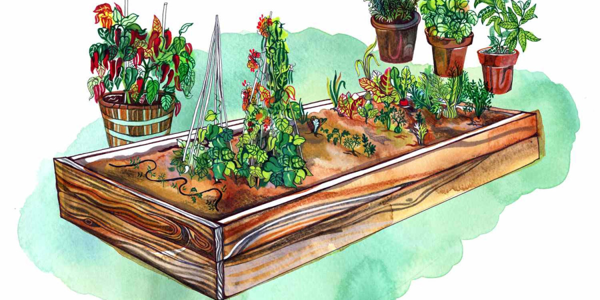 Growing Green with Tech: How Garden Software Shapes the Future of Sustainable Farming