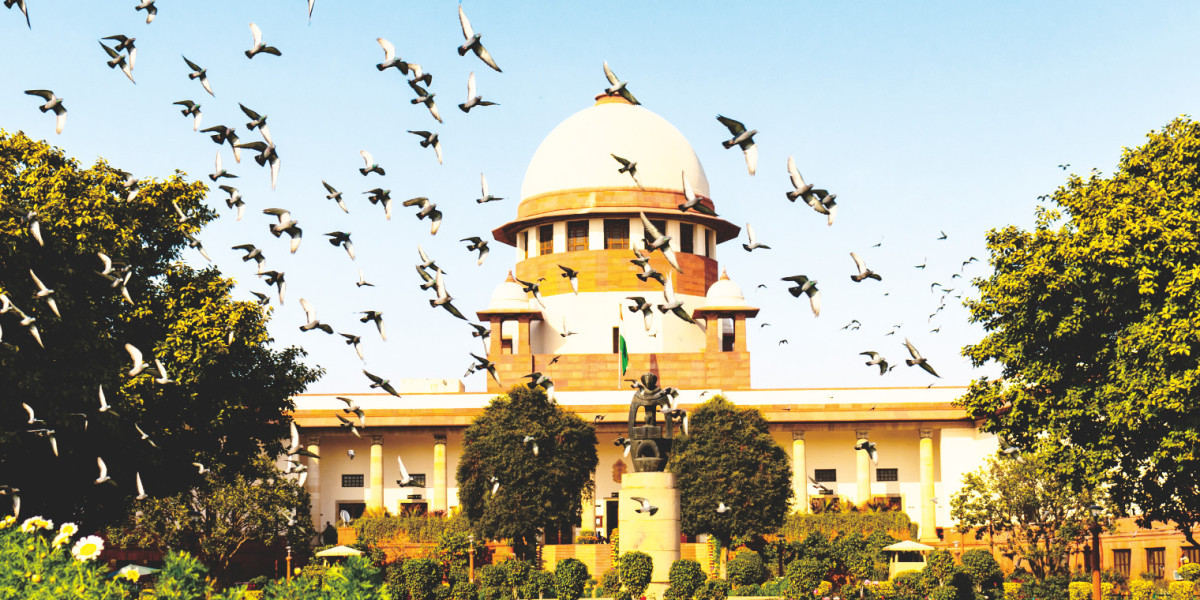 Justice Defenders: Legal Turmoil with Expert Criminal Lawyers