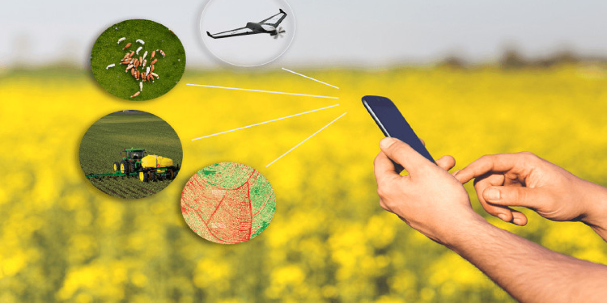 India AI in Agriculture Market Boosted by Digital Farming Trends