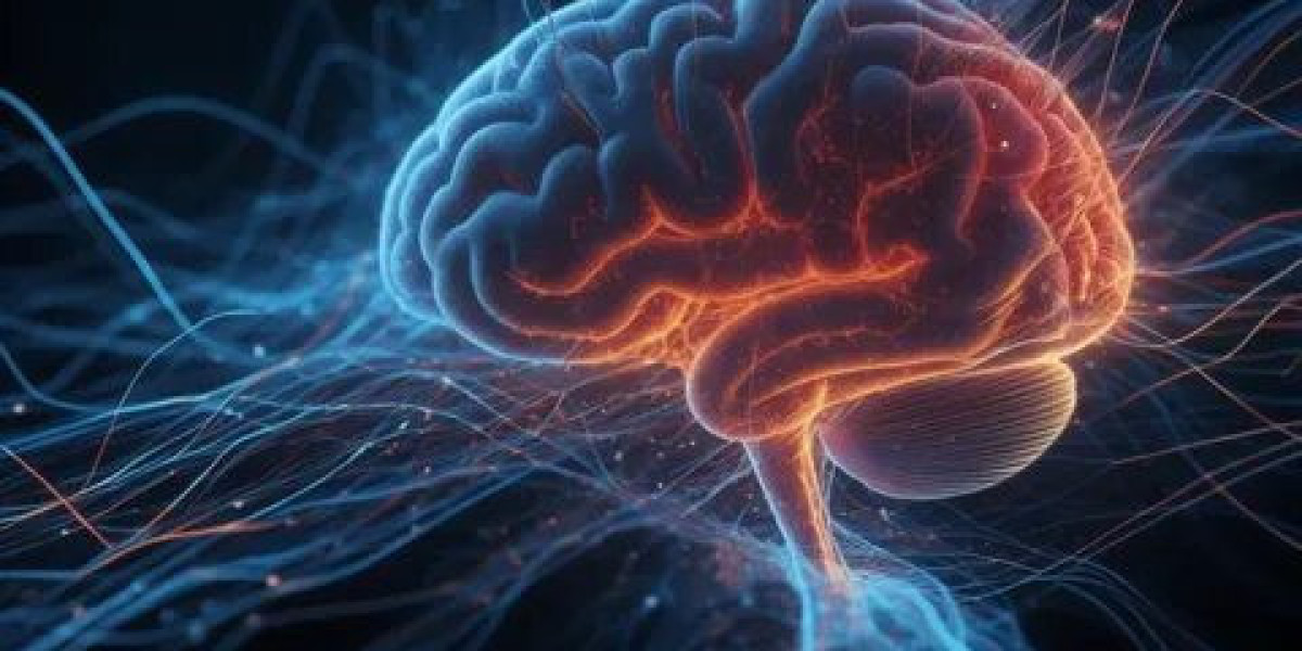 Global Neuroscience Market Analysis by Technology, Application, and End-User