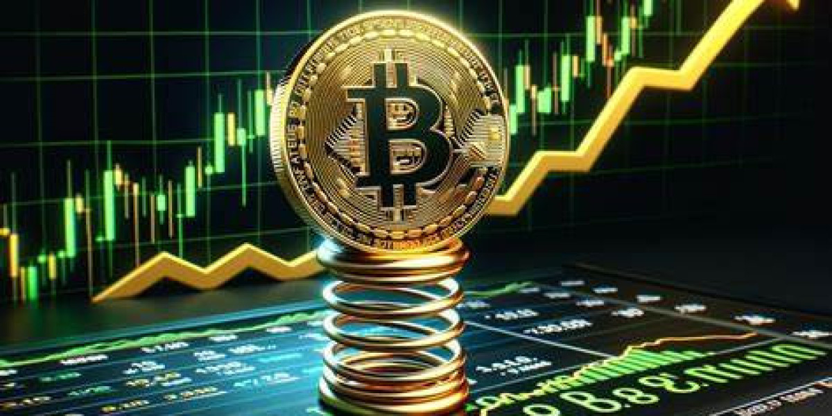 Hot Wallet vs Cold Wallet: Which One Should You Trust with Your Bitcoin?